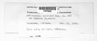 Image Associated With the Occurence